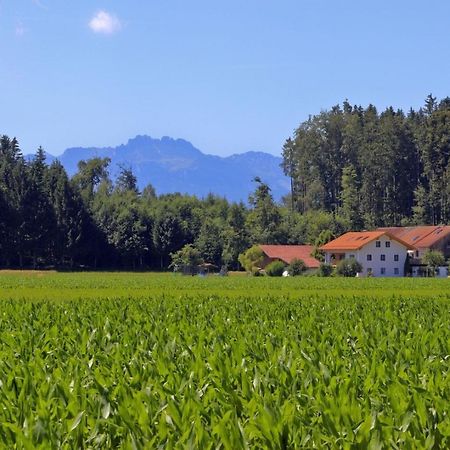 Beim Lenglacher Chieming Bagian luar foto