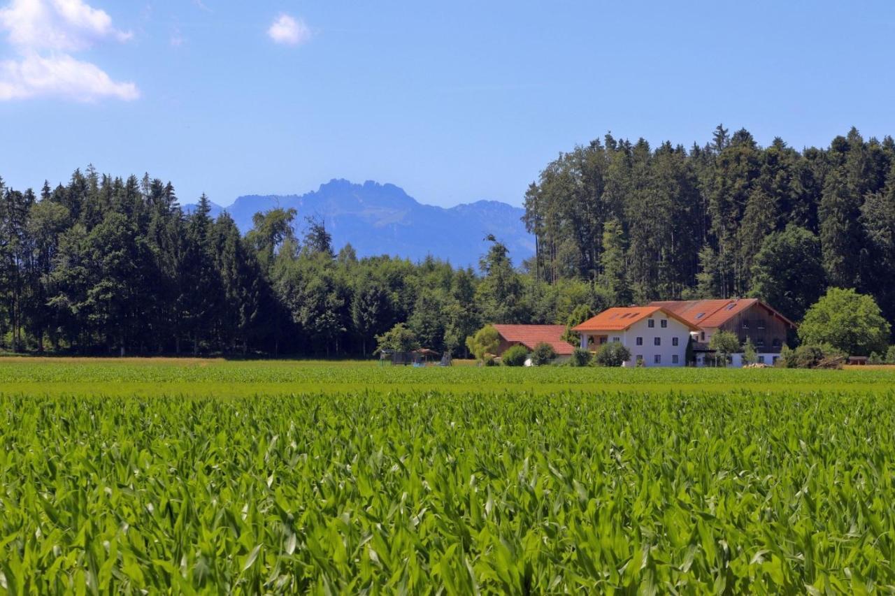 Beim Lenglacher Chieming Bagian luar foto